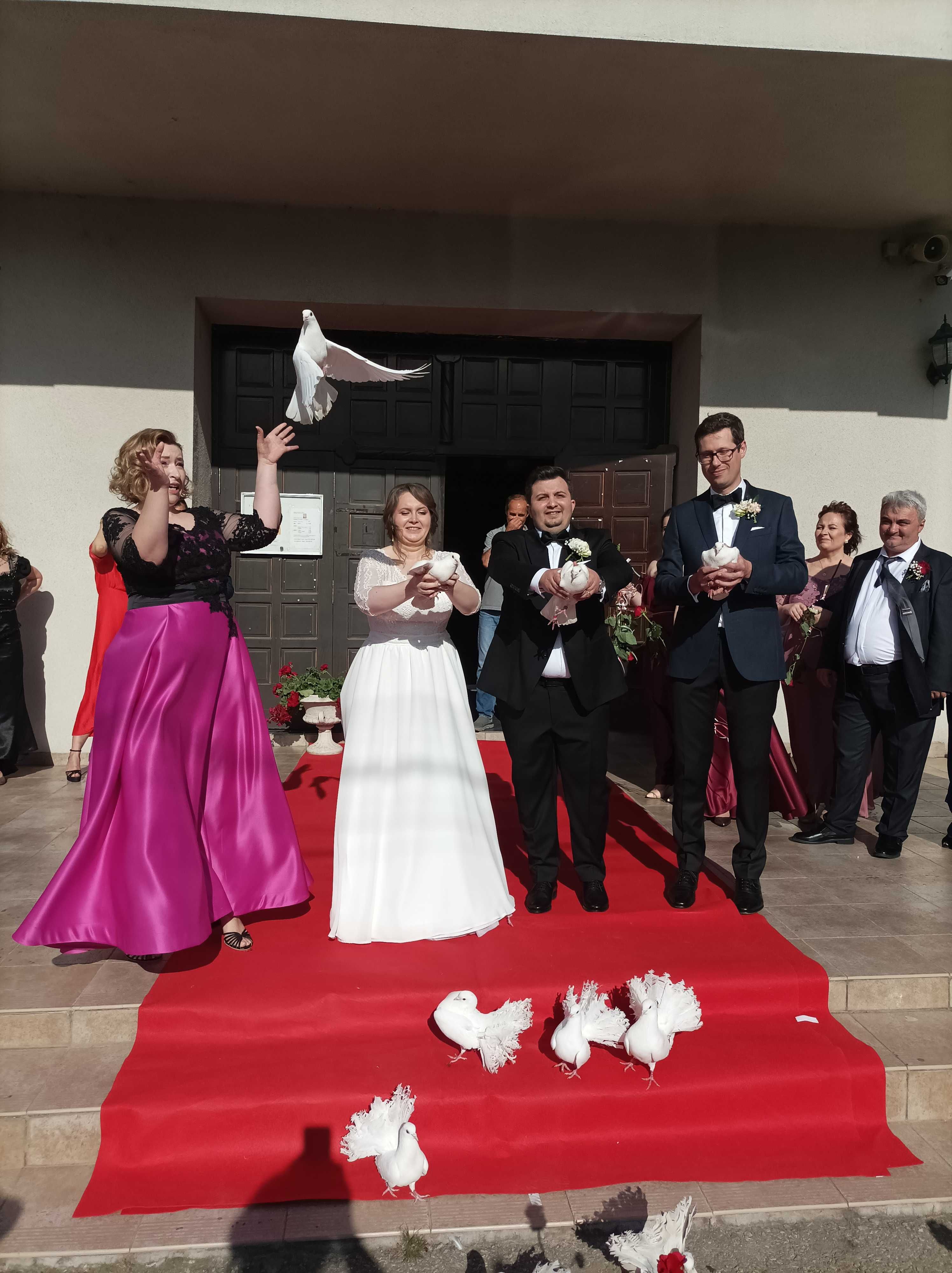 Porumbei albi pentru nunti Timișoara