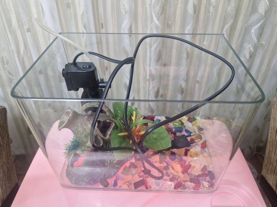 Akvarium+dekoratsiya+filtr