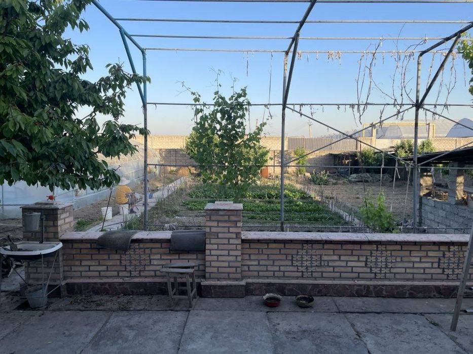 14 соток Ийк ота / Yik ota 14 sotok