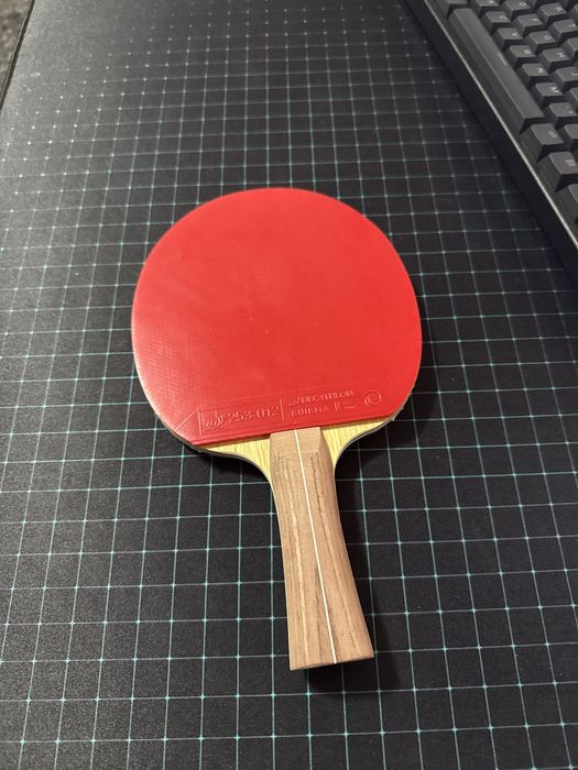 Paleta de tenis de masa TTR 999 PRO