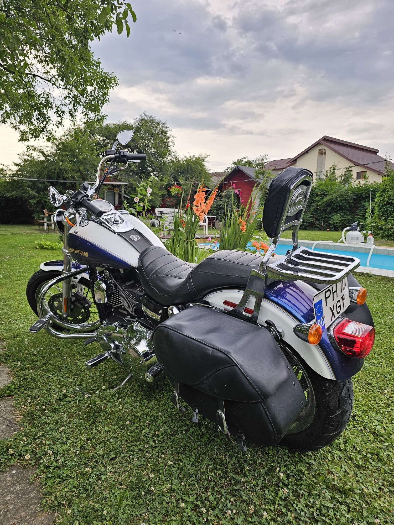 Harley impecabil
