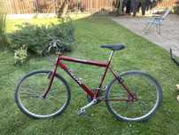 Bicicleta rosie tip mountain bike 26x1.95