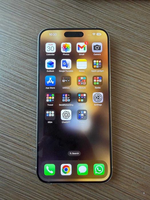 Phone 15 Pro Max White Titanium, 256 GB – baterie 90%