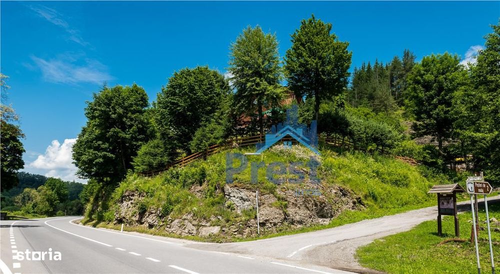 Restaurant de vanzare, Valea Muresului, Andreneasa