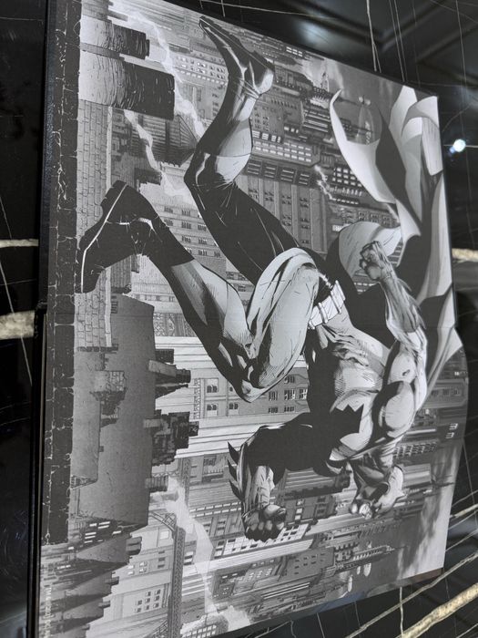 Редкое издание DC — Бэтмен и Робин, чудо мальчик (Абсолютное издание)