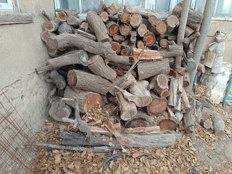 Продам Дрова Отың