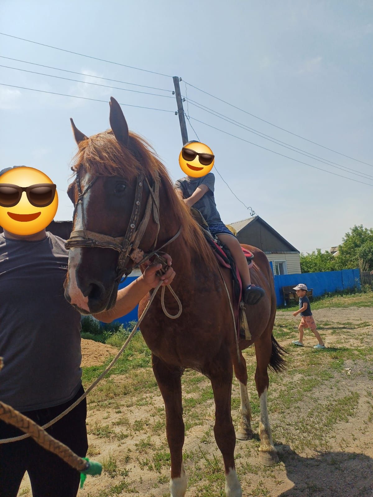 Продам жеребца 7 лет