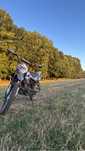 Motocicletă Gepard 250RX - 250cc - Enduro / Cross - Stare foarte bună