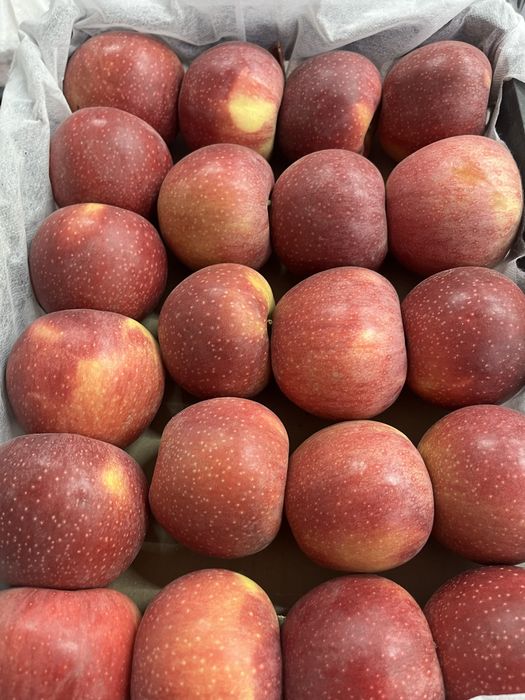 Свежие овощи, фрукты, зелень — доставка в Костанае