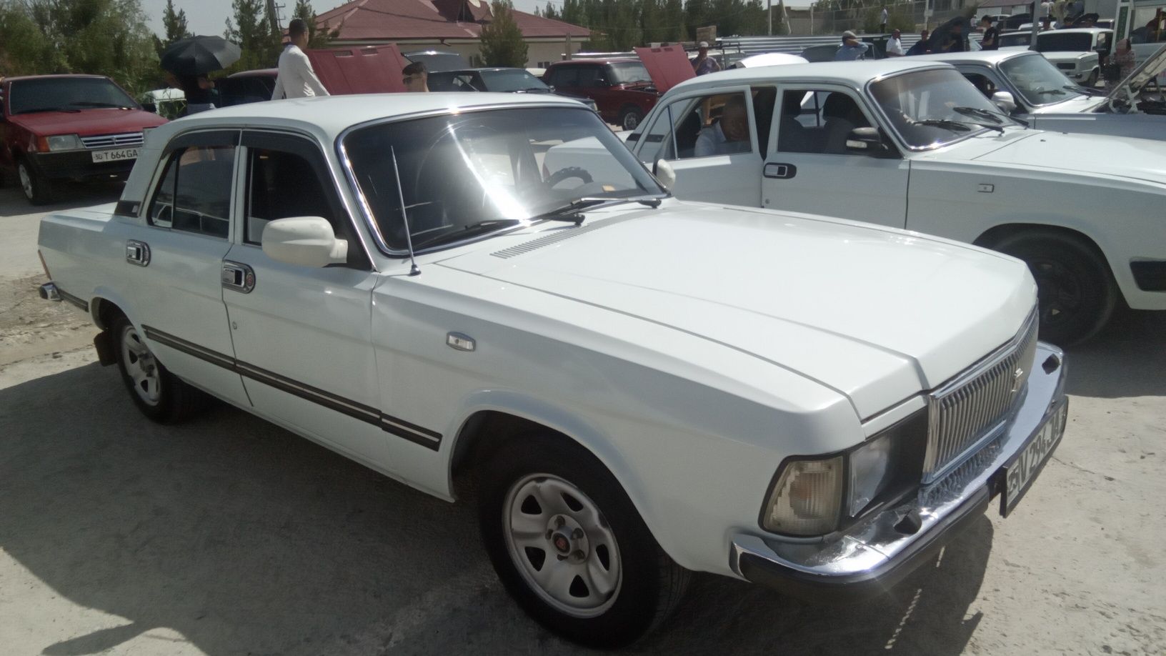 Volga 3102 jizzax