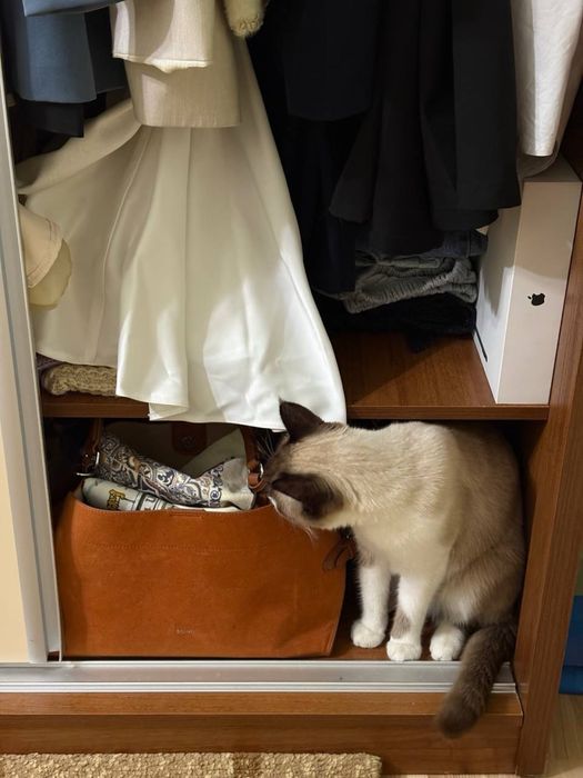 Шкаф двухсекционный