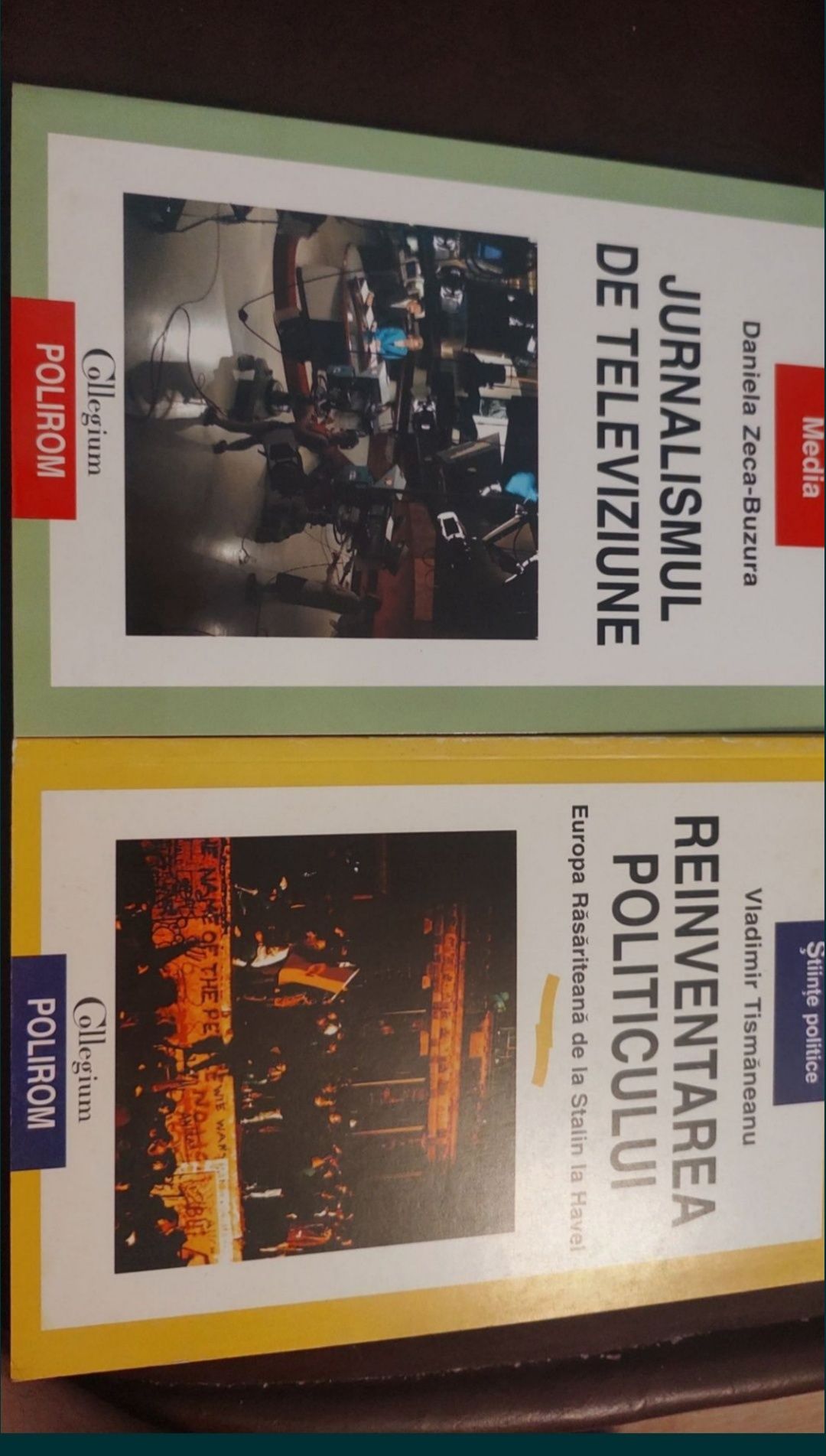 Jurnalism și Reinventarea Politicului