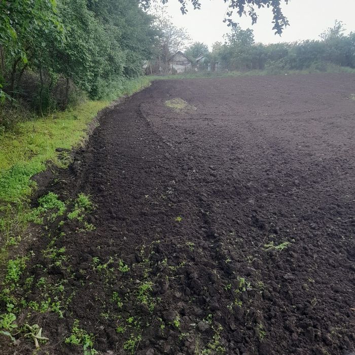 Teren casa comuna Izvoarele