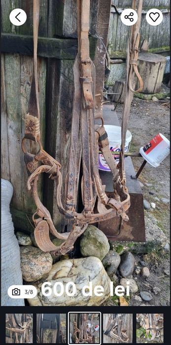 Hamuri cai din piele