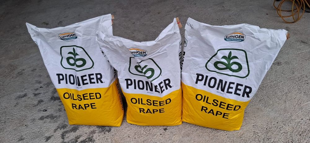Seminte de rapita Pioneer Pt 314