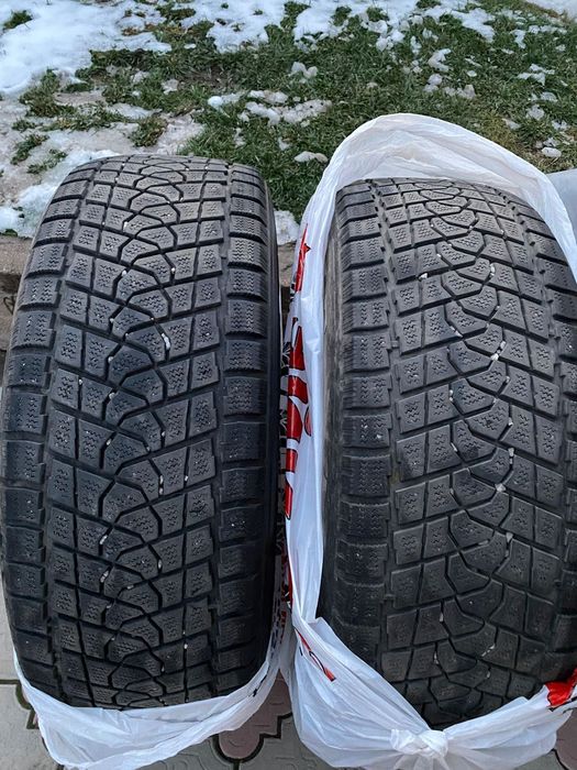 Зимние Шины Triangle