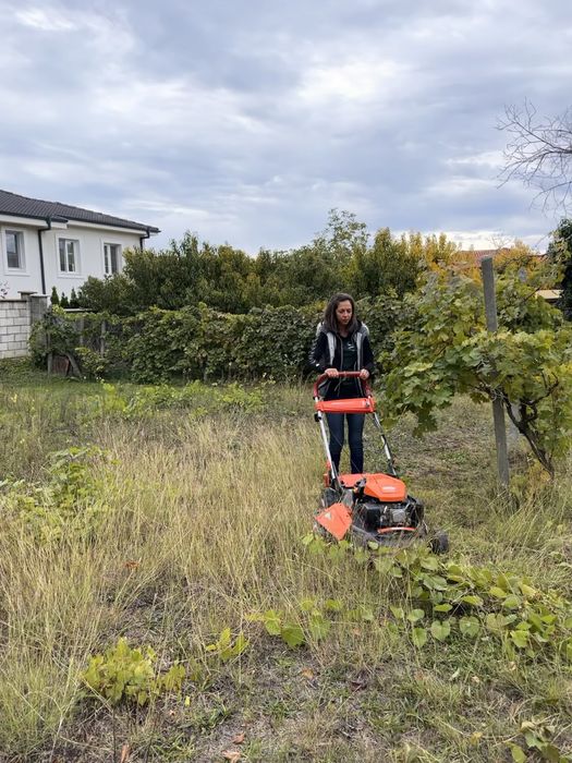 Почистване на дворове, парцели, овощни градини, солари с мулчер