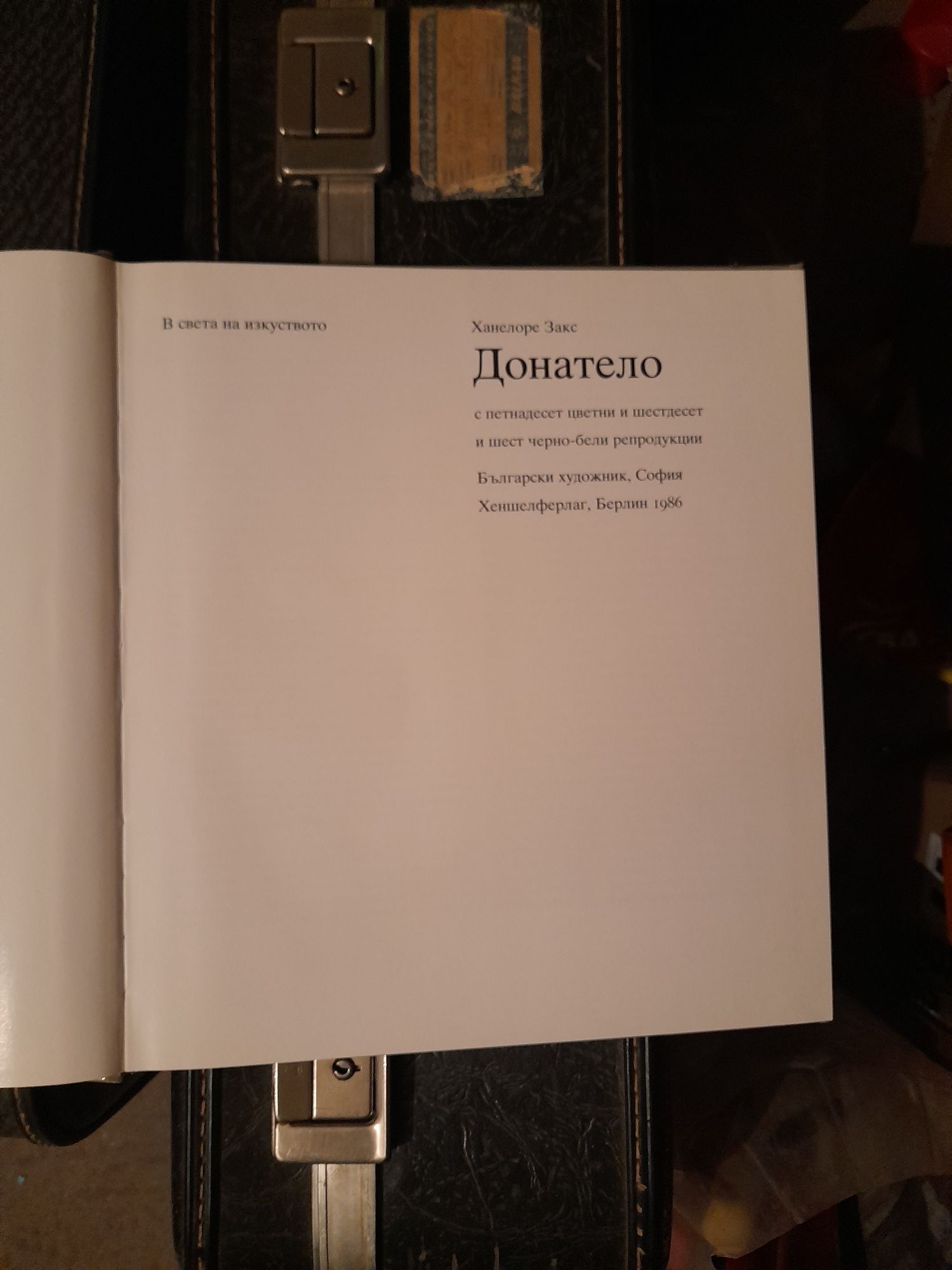 Две илюстровани книги на Микеланджело и Донатело