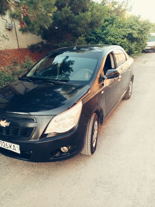 Kobalt soʻyladi 2014yil pul zarl