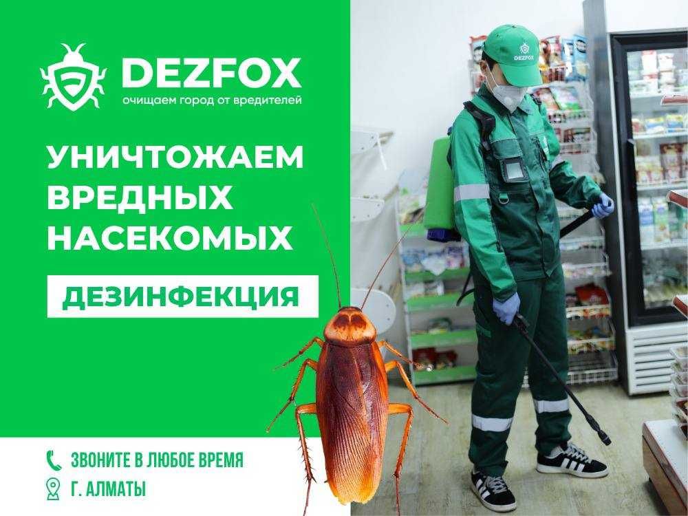 Дезинфекция Дератизация От Тараканов Клопов Мышей Грызунов Крыс