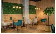 Mobilier bar restaurant pub pizzerie club