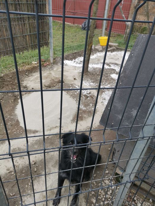 Vând teren cu casa în CF Ianova