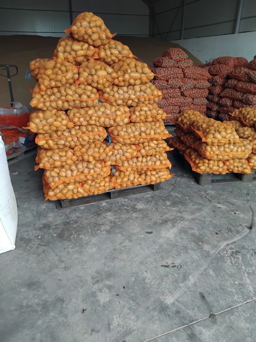 Ceapă plată  și cartofi