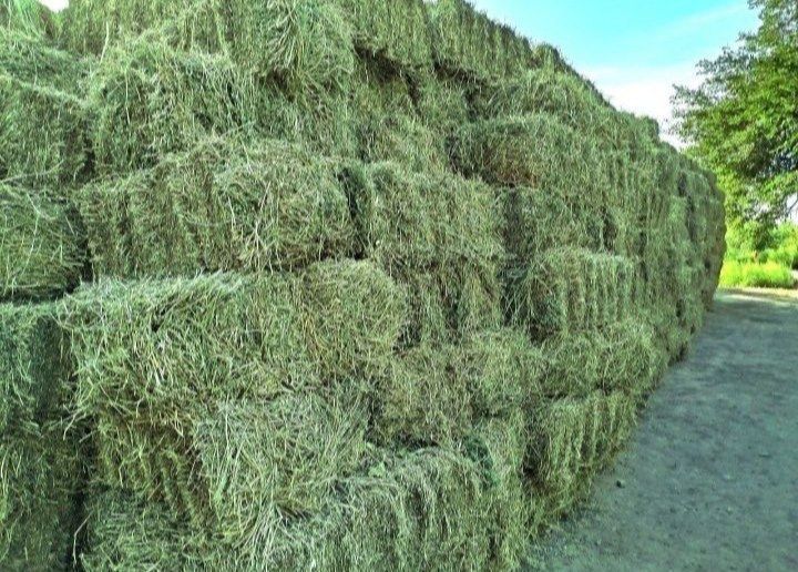 Беда прес сотилади