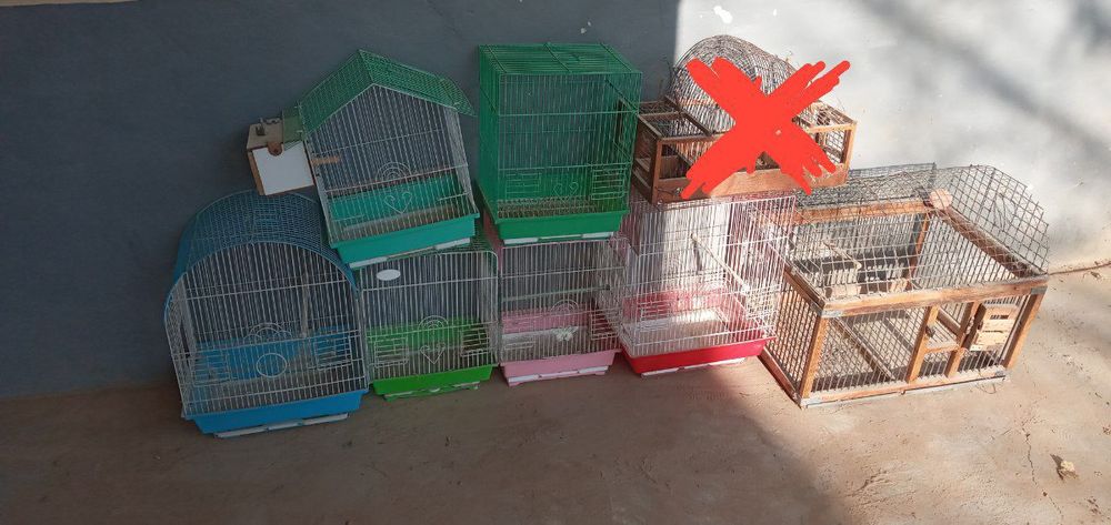 Qafasla sotiladi ishlatilgan