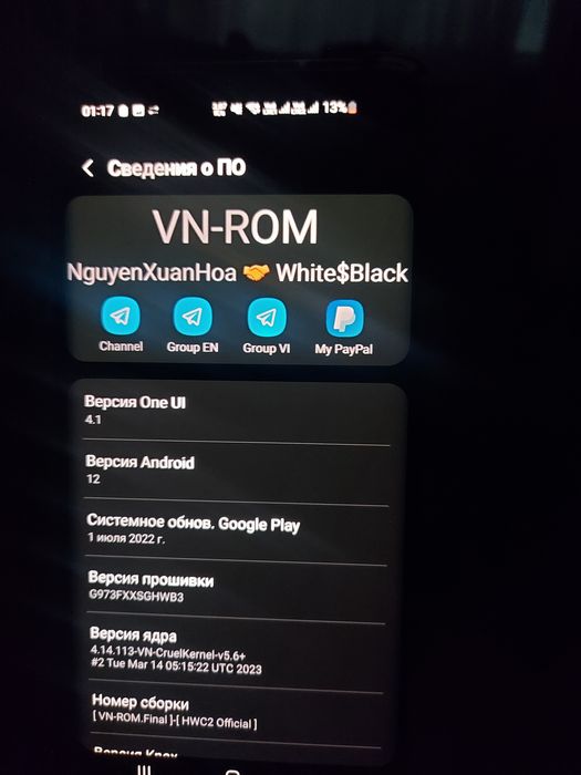 Самсунг s10 ветьнам