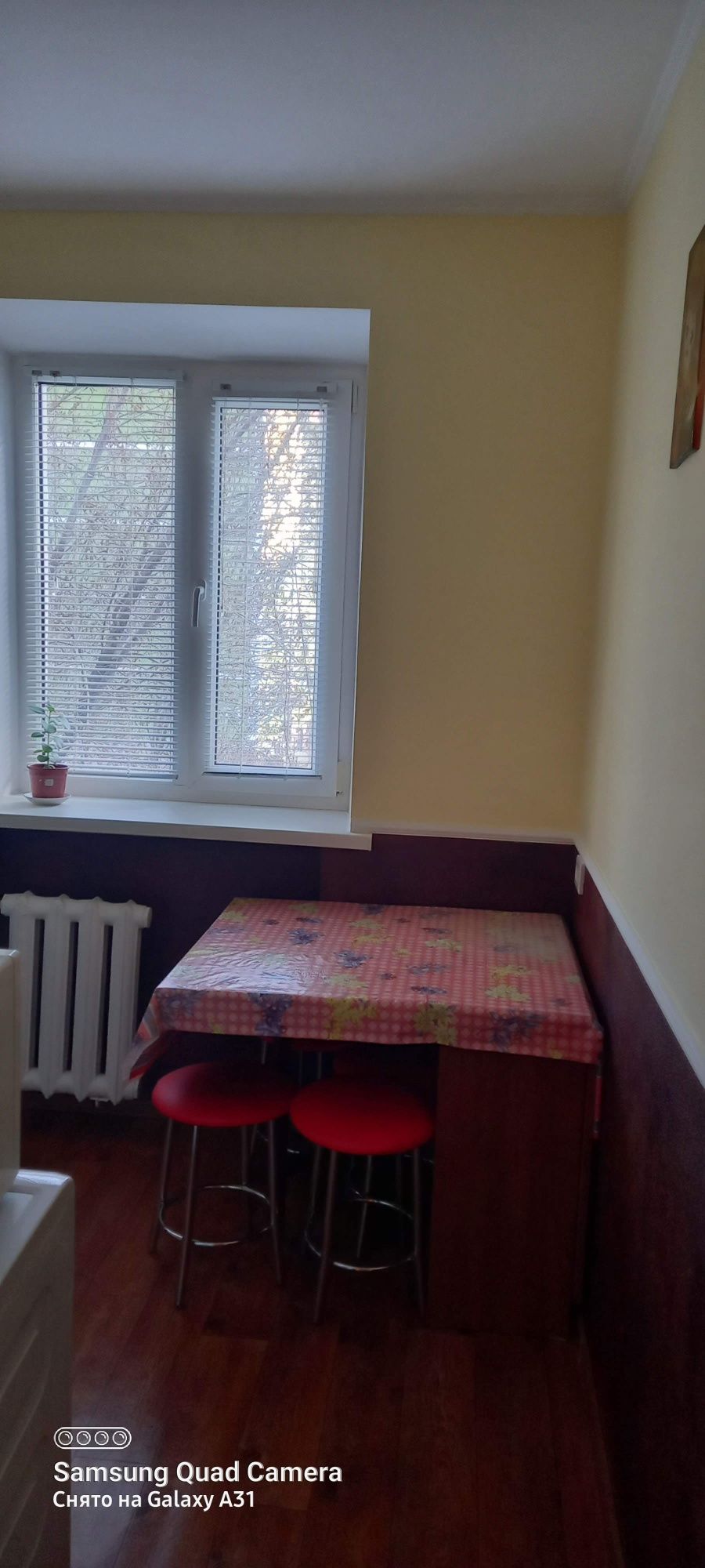 квартира 1 комната