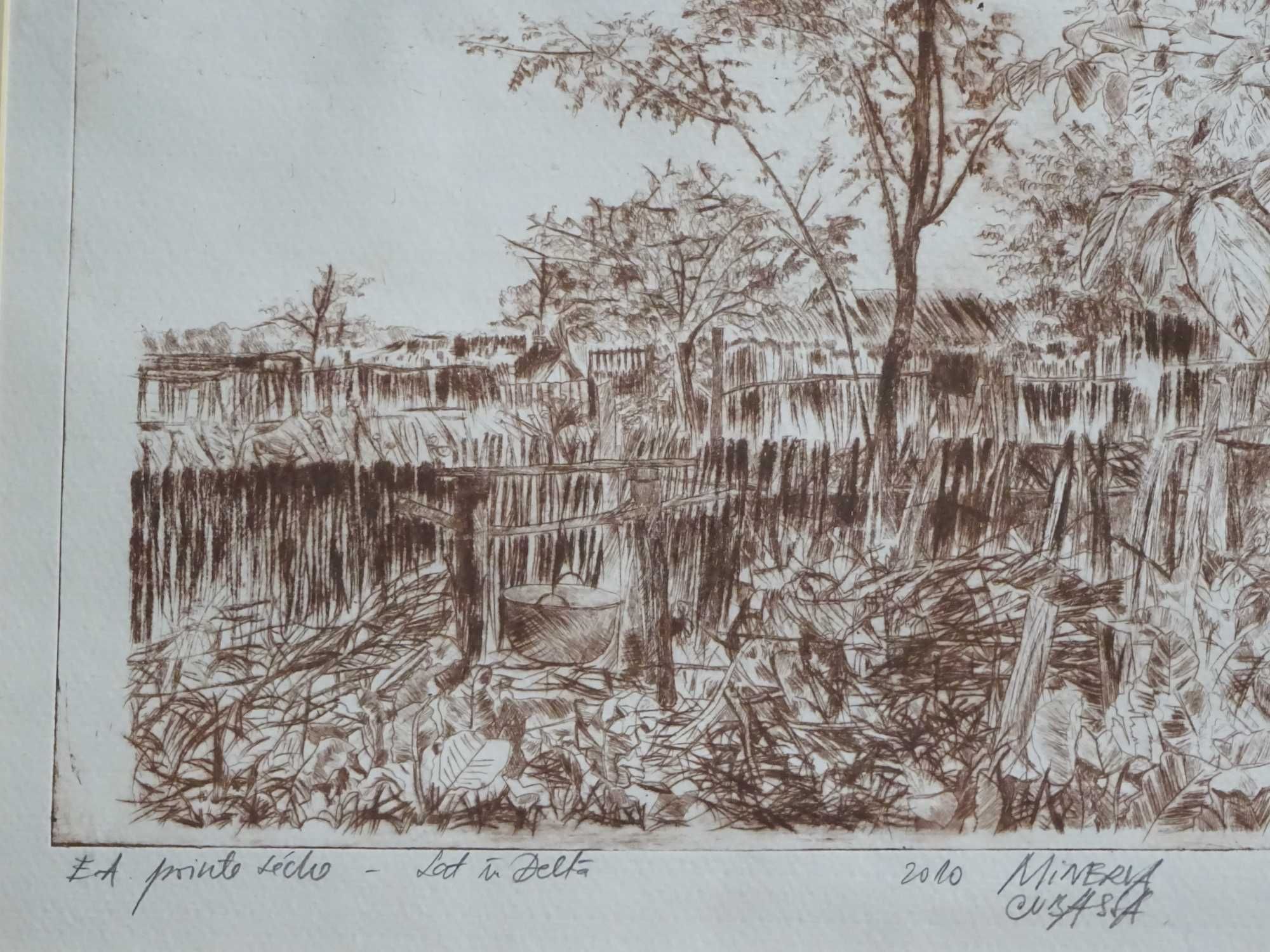 Gravura Minerva Cubassa, ‘Sat in Delta’, Exemplar de autor