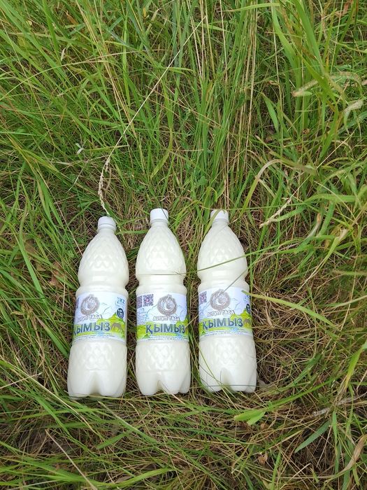 Қымыз таза қымыз Саумал