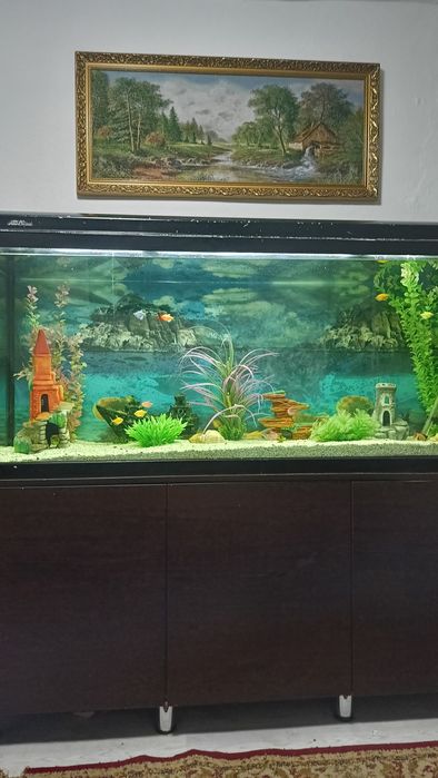 Аквариум заводской со всеми принадлежностями. С рыбками.