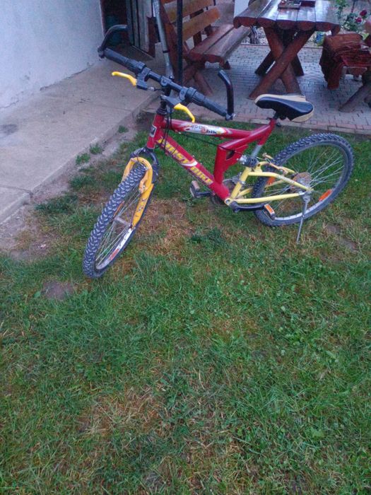 Bicicleta pentru copii