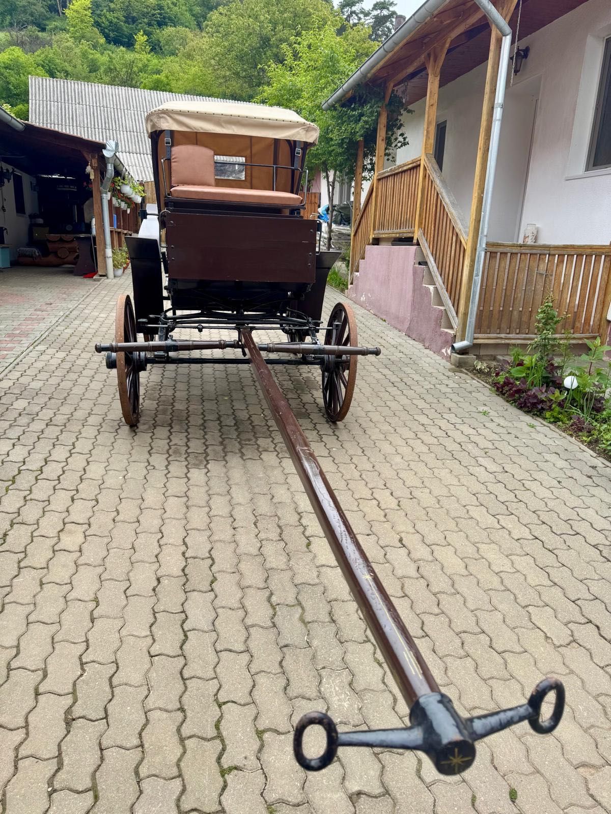 Vând TRĂSURĂ  UNICAT în stare ireproșabilă.