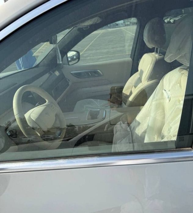 Changan depal S09 2 wd