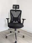 Scaun birou ergonomic Ergoplus Lukas H