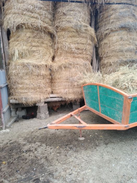 Baloți de iarbă de vînzare