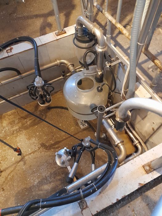 Vând sală de muls  6 capete