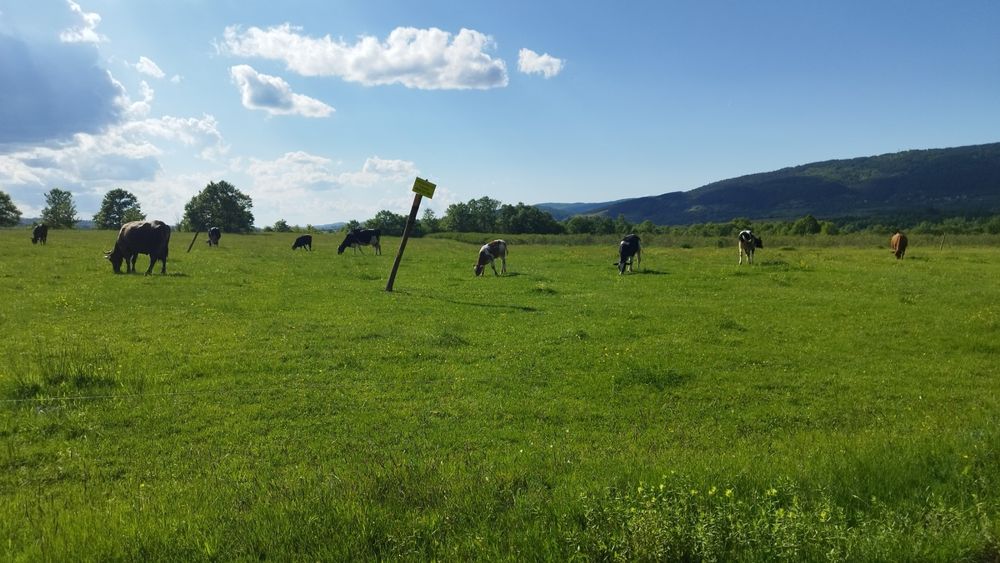 Земеделска земя в Гр. Елена общ. Велико Търново