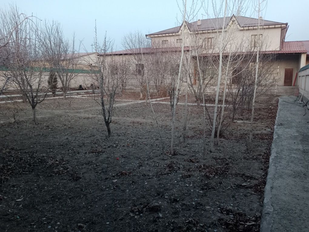 Жай сатылады 20жайда