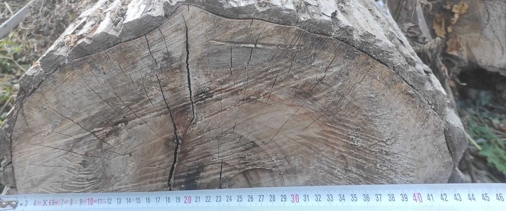 Lemn de nuc material mobilă