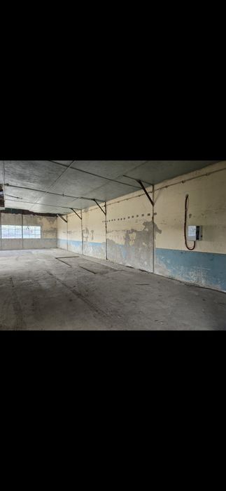 Hale 2350 Mp si Teren Betonat 10.000 Mp