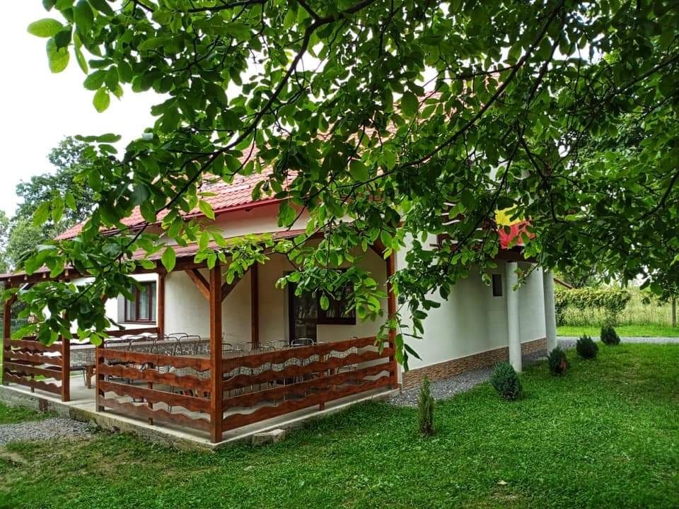 Vila Ada- Sat vacanță Dejani