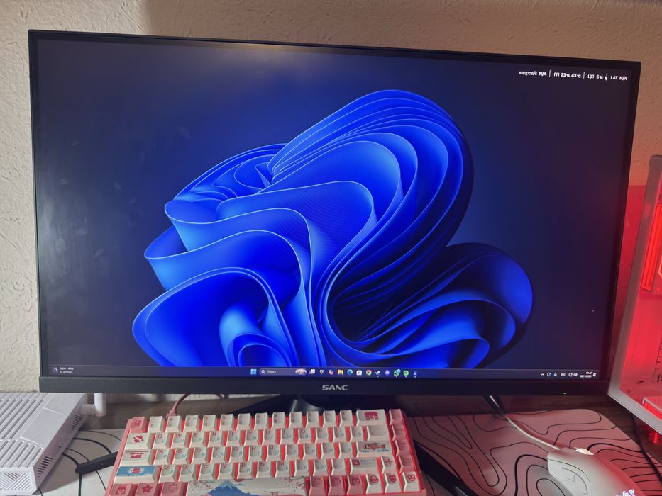 Монитор Санк игровой