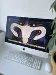 iMac 21,5 inchi Late 2015 v 11.7.10