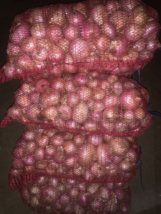 Ceapa roz de vanzare