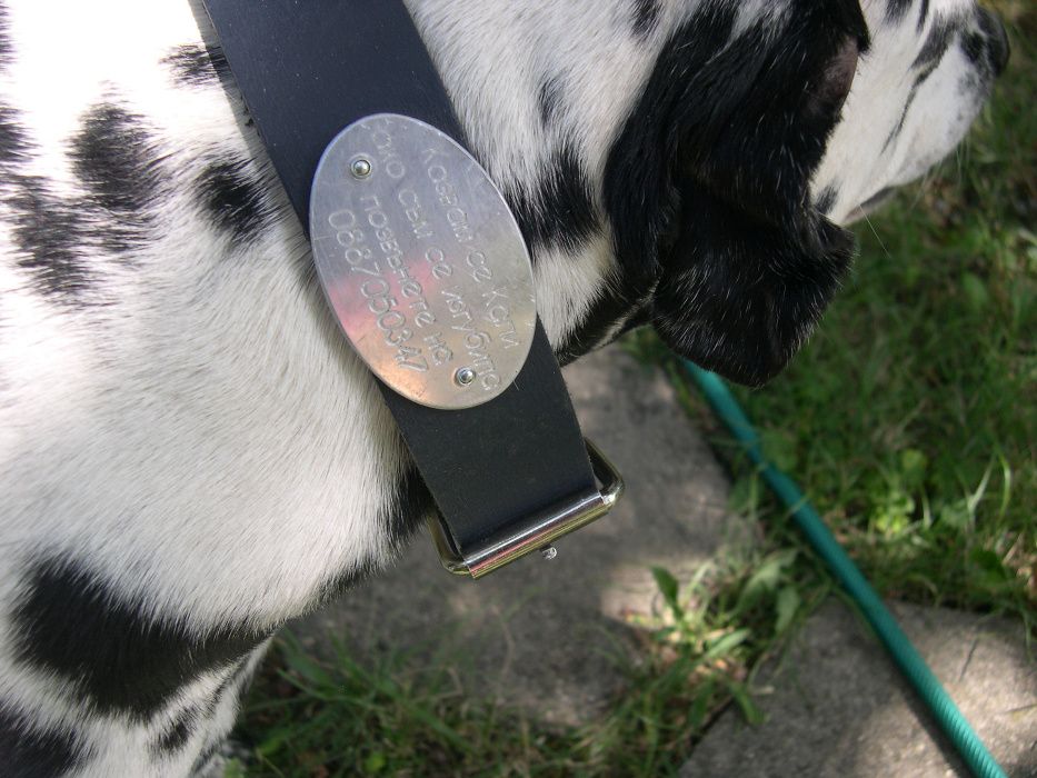 Изработка на медальони за кучета