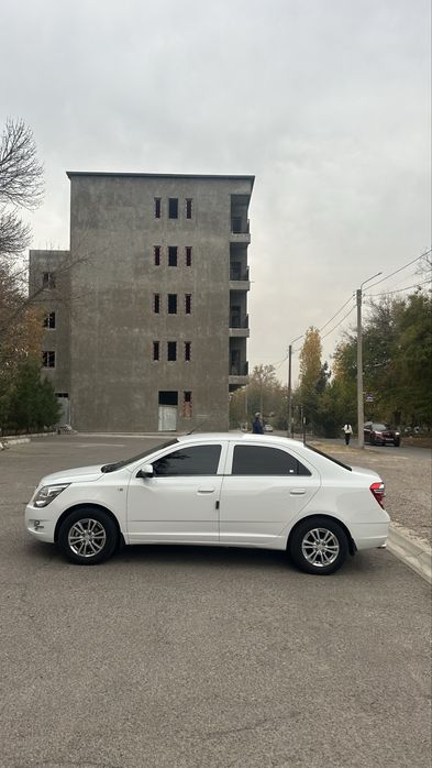 Cobalt GX-Style 2024 tozza